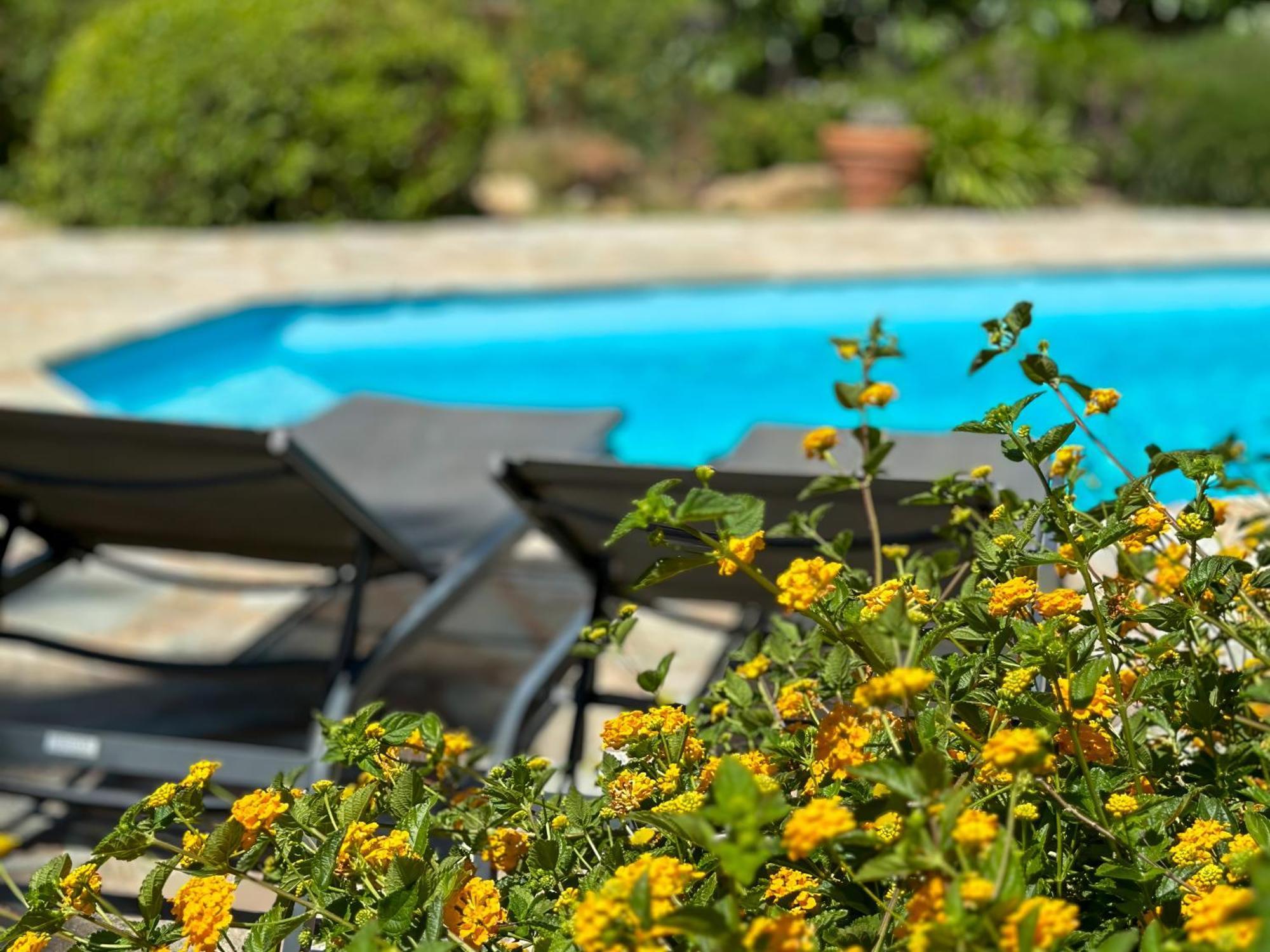 Domaine Villas Celia Monticello Bagian luar foto