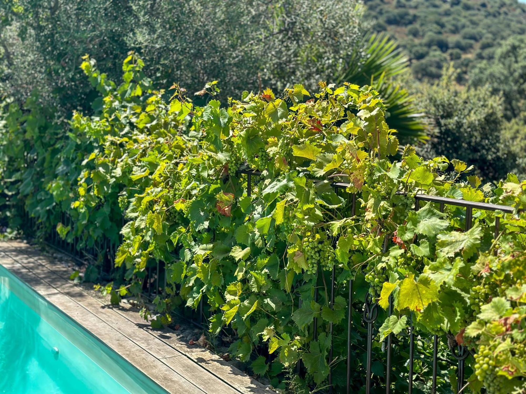 Domaine Villas Celia Monticello Bagian luar foto